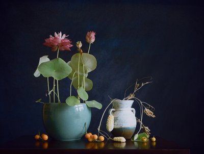  - Fangping Zhou