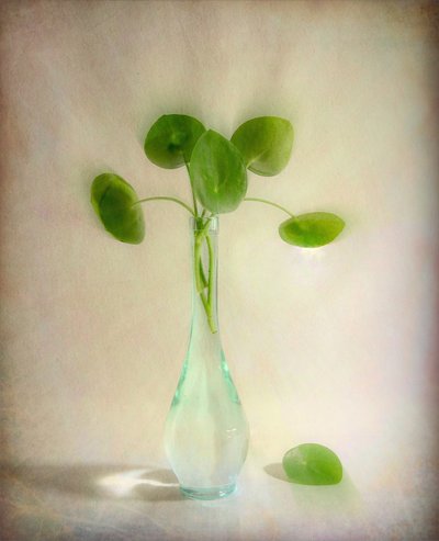 Vase en verre à feuilles rondes - Fangping Zhou