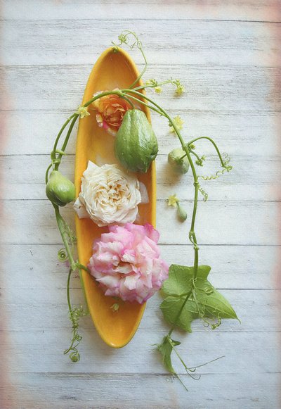 Rose rustique et chayote - Fangping Zhou