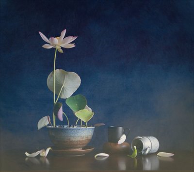 Nature morte au lotus serein - Fangping Zhou