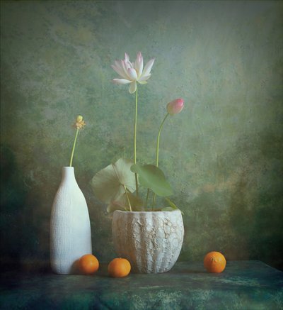  - Fangping Zhou