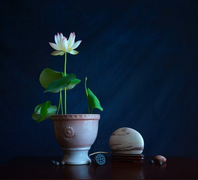 Nature morte « Zen Lotus » - Fangping Zhou