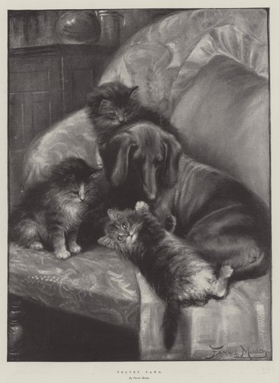 Pattes de velours - Fannie Moody