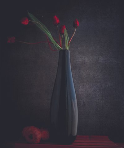Élégantes tulipes rouges - Farid Kazamil