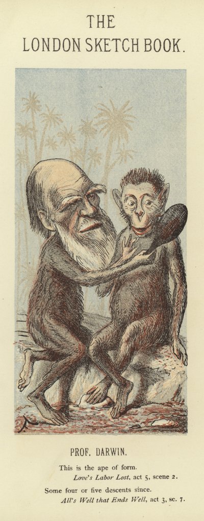 Caricature de Charles Darwin - Faustin