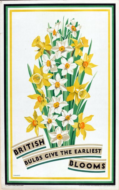 Les bulbes britanniques donnent les premières fleurs, de la série 