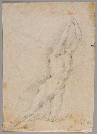 Dessin - Fedele Fischetti