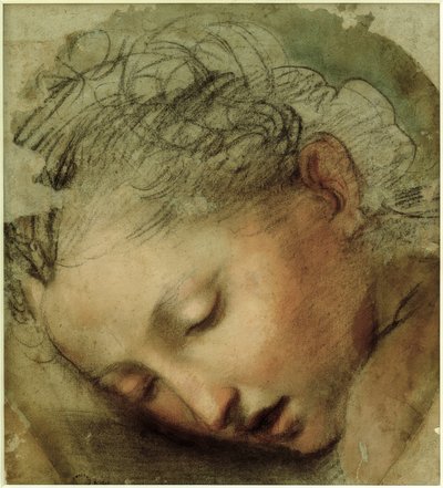 Tête de femme, 1568 - Federico Barocci