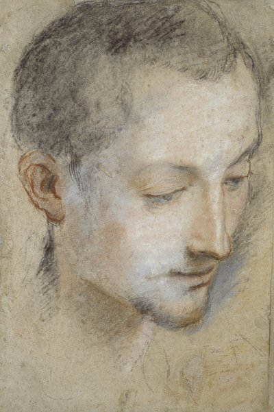 Étude de la tête d