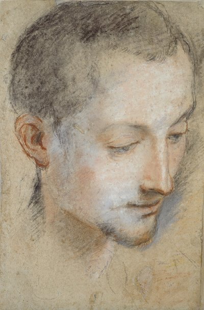 Étude de la tête d