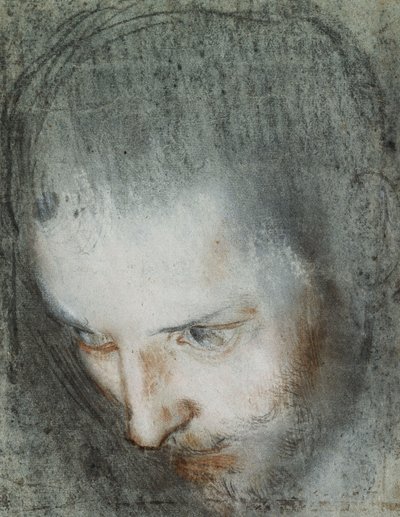 Tête de Saint François regardant vers le haut à gauche - Federico Fiori Barocci or Baroccio