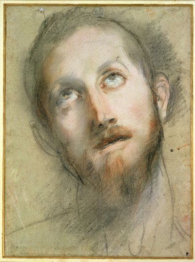 Étude pour la tête du Christ - Federico Fiori Barocci or Baroccio