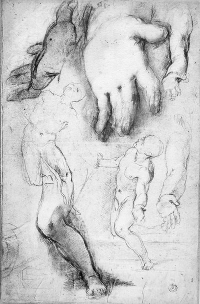 Étude pour la figure de Saint François - Federico Fiori Barocci or Baroccio