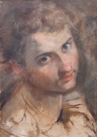 Étude pour la tête de Saint Judas - Federico Fiori Barocci or Baroccio