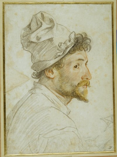 Tête et épaules d