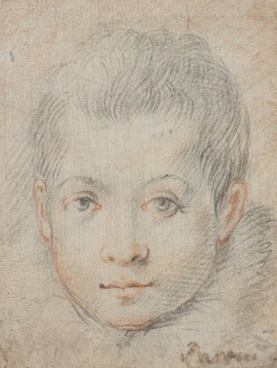  - Federico Zuccaro