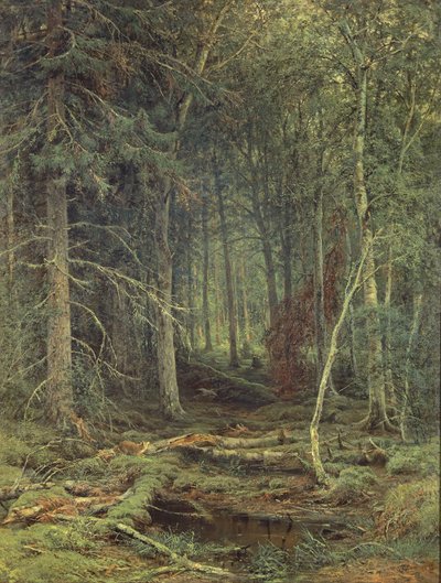 Marais dans la forêt, automne, 1872 - Fedor Aleksandrovich Vasiliev