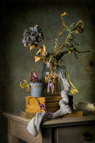  - Felice Angelino