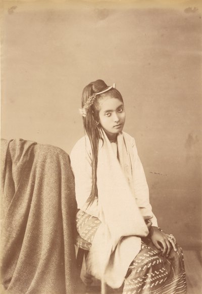 Type birman Silk Sitter - Felice Beato