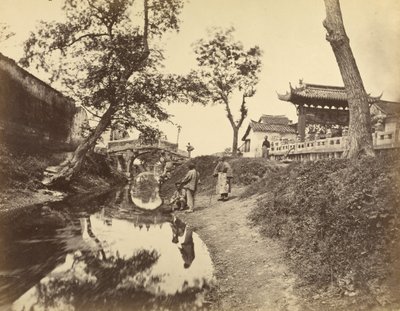 [Vue chinoise d
