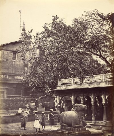 Puits Sacré (Bénarès) - Felice Beato