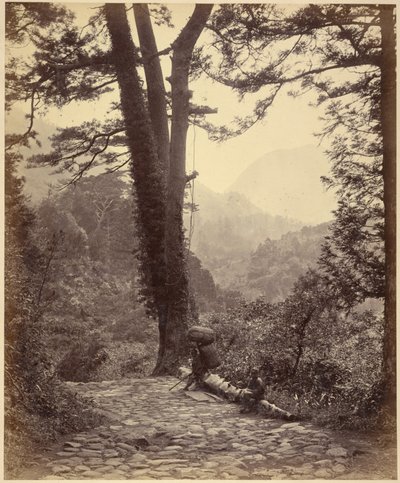 Vue du col de Hakone - Felice Beato