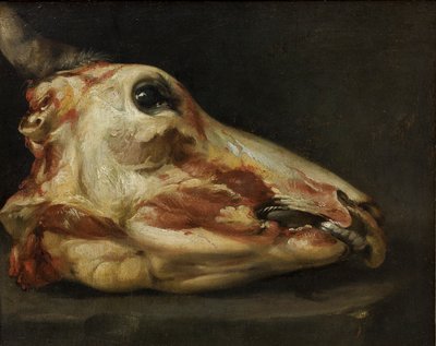 Tête écorchée d