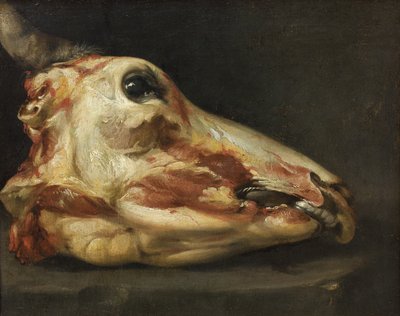 Tête écorchée d