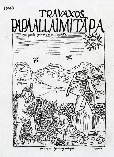 Le Mois de Juin, Récolte des Pommes de Terre - Felipe Huaman Poma de Ayala