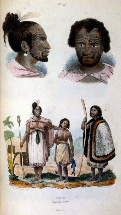 Illustration anthropologique représentant la race maorie - Felix-Edouard Guerin