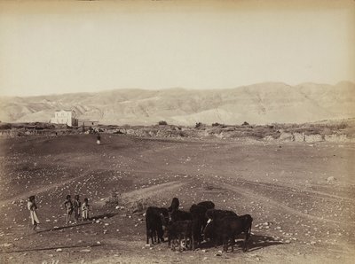 Une zone rocheuse avec des enfants et des animaux en pâturage, en Égypte - Félix Bonfils