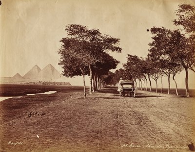 Le Caire. Allée des Pyramides - Félix Bonfils