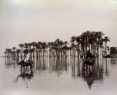 Hommes sur des chameaux traversant une zone désertique égyptienne inondée par le Nil, Égypte - Félix Bonfils