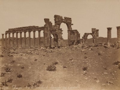 Palmyre : vue d