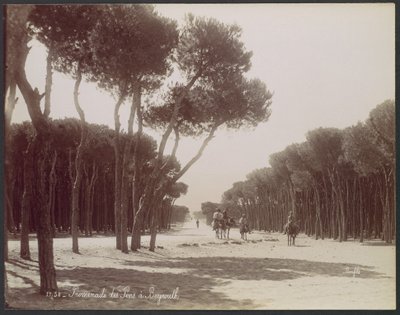  - Félix Bonfils