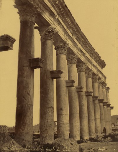 Vestiges de la colonnade du temple du Soleil à Palmyre, Syrie - Félix Bonfils