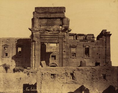 Vestiges du temple du Soleil à Palmyre, Syrie - Félix Bonfils