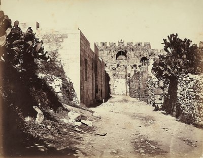 Vue d