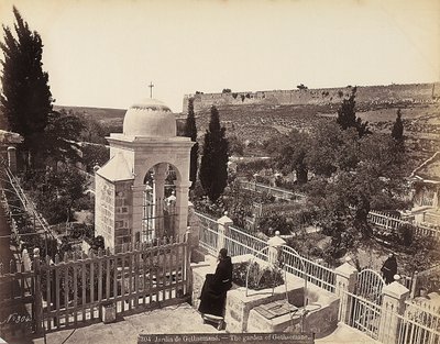 Vue du jardin de Gethsémani ou du verger des Oliviers, où, selon la tradition, le Christ a passé les derniers jours de sa vie - Félix Bonfils