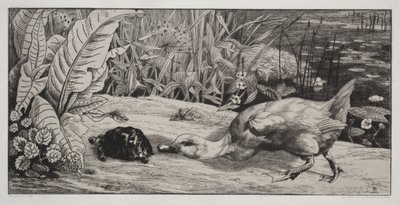 Un inconnu - Felix Bracquemond