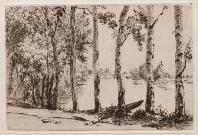 Peupliers sur la rive de la Seine - Felix Bracquemond