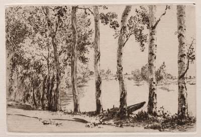 Trembles sur la rive de la Seine - Felix Bracquemond