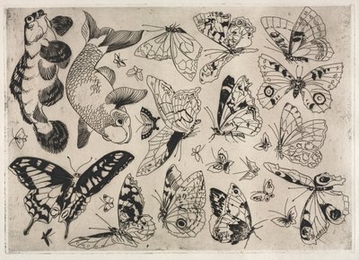Service de table (service Rousseau) : Papillons et poissons (n° 16) - Felix Bracquemond