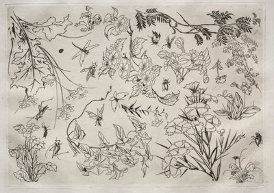 Service de table (service Rousseau) : Fleurs (n° 22) - Felix Bracquemond