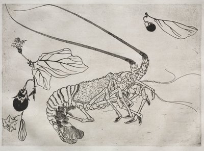 Service de table (service Rousseau) : Grand homard avec antenne relevée (n° 21) - Felix Bracquemond