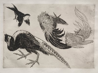 Service de table (service Rousseau) : Faisans et oiseau (n° 18) - Felix Bracquemond