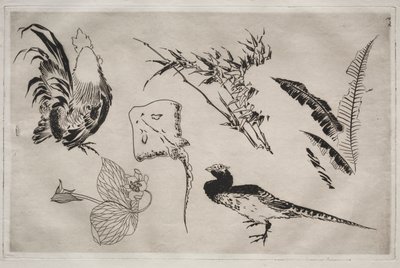 Service de table (service Rousseau) : Coqs, raie, plantes, etc. (n° 9) - Felix Bracquemond