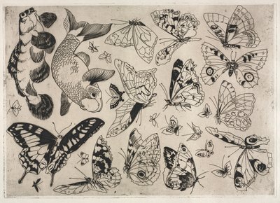 Service de table Rousseau : Papillons et Poissons n° 16 - Felix Bracquemond