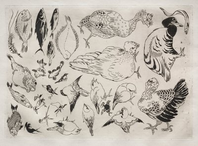 Service de table Rousseau : Canards, poissons, etc. n° 12 - Felix Bracquemond