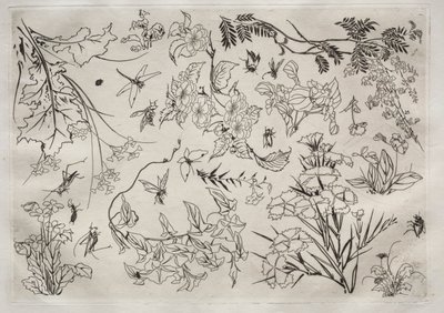 Service de table Rousseau : Fleurs n° 22, 1866 - Felix Bracquemond